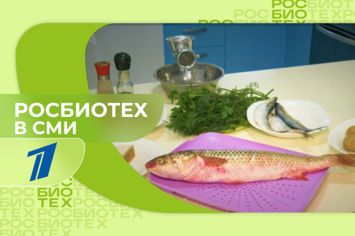Эксперт РОСБИОТЕХа в эфире Первого канала рассказал о пользе аутентичных рыбных блюд