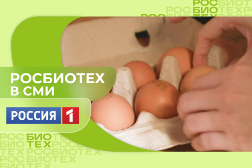 Специалист РОСБИОТЕХа рассказал, какой способ приготовления яиц делает их максимально полезными 
