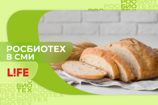 Специалист РОСБИОТЕХа предупредил об опасности «зараженного» хлеба