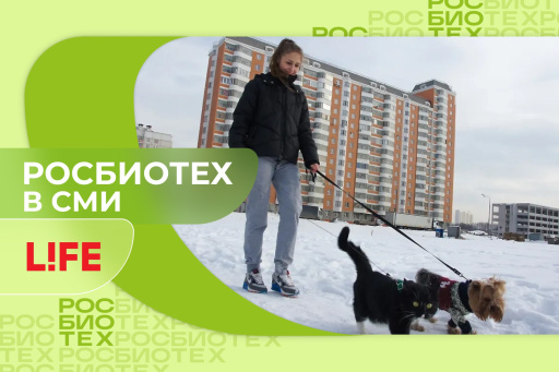 Учёный РОСБИОТЕХа рассказал об опасности «красного снега» для собак