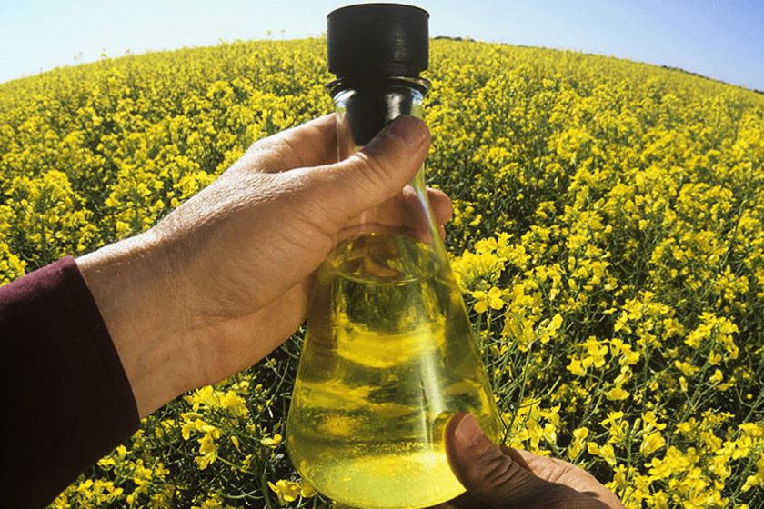 Конгресс и выставка «Биомасса: топливо и энергия - 2019»