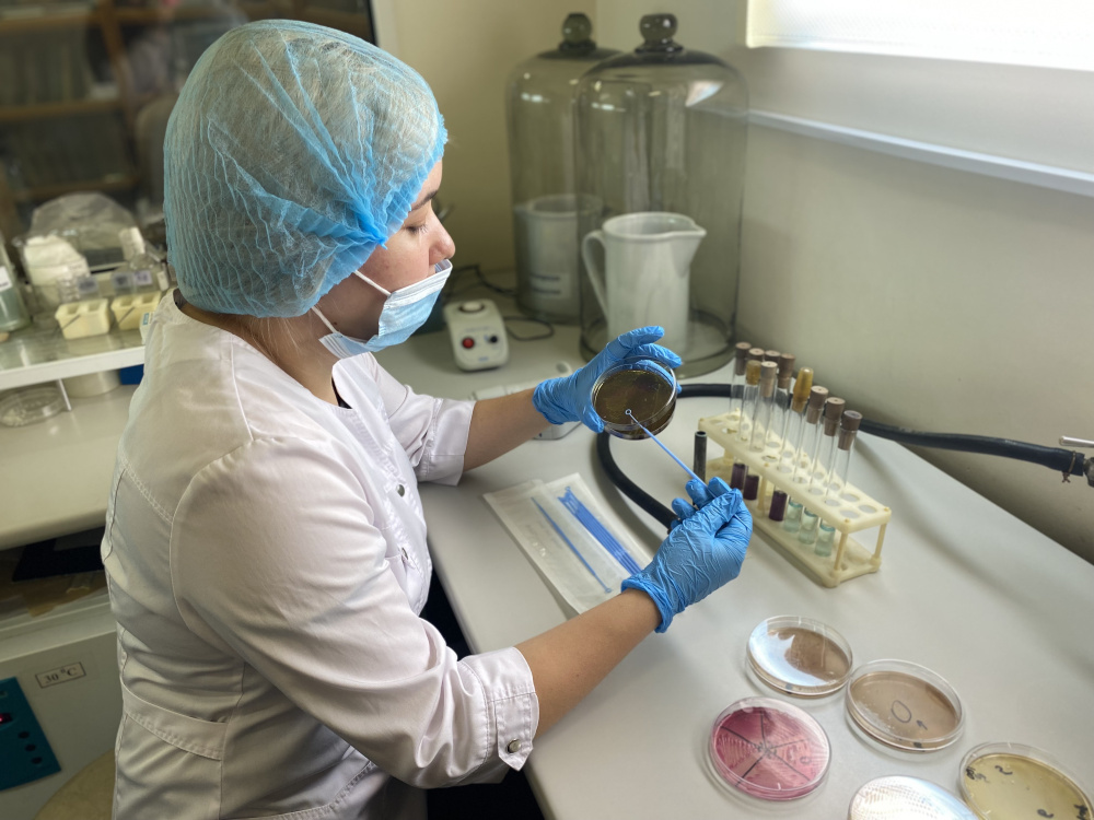 «Известия»: ученые РОСБИОТЕХа научились выявлять «спящие» патогены в продуктах питания