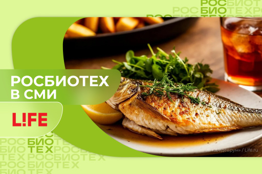 Диетолог назвала сочетание рыбы и газировки опасным для пищеварения