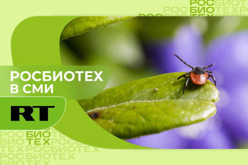 Профессор РОСБИОТЕХа рассказал о втором периоде сезонной активности клещей