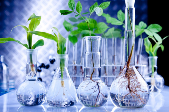 Биотехнологи и фармацевты со всего мира встретятся в РОСБИОТЕХе на конгрессе «Биотехнология и устойчивое развитие»
