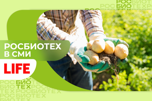 Доцент РОСБИОТЕХа назвала главные правила сбора урожая картошки